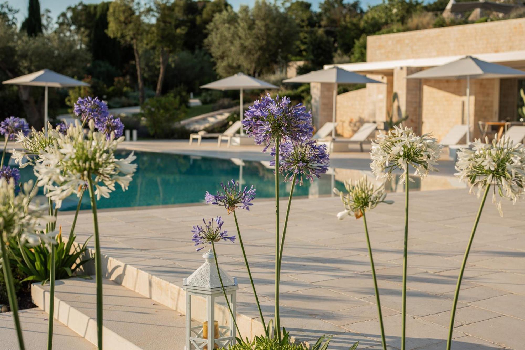 Essenza Relais Contemporaneo Bed & Breakfast Чистернино Екстериор снимка